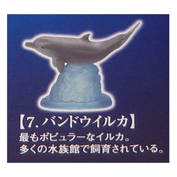 nIs V[JXق̒Ԃ ohECJ G|bN K`| KV| `RGbO fXNgbv tBMA