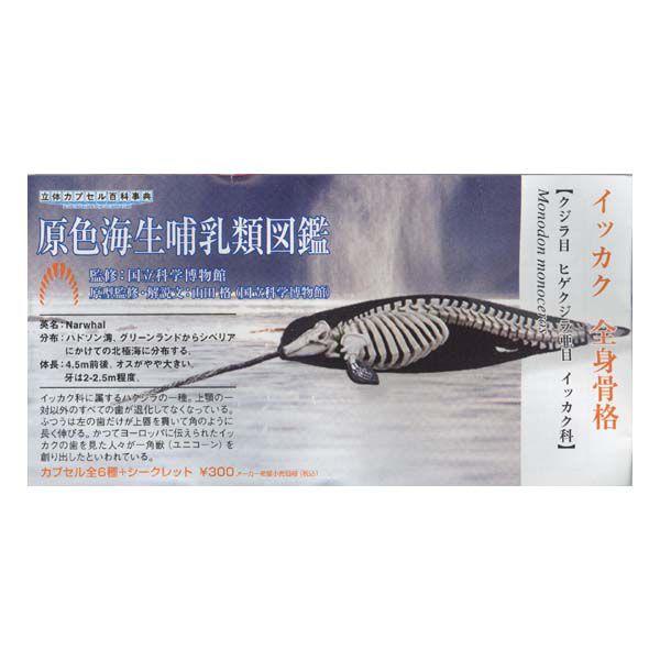 ̃JvZSȎT Ȋw FCMސ} CbJN Sgi ^Jg~[A[c K`| KV| `RGbO tBMA