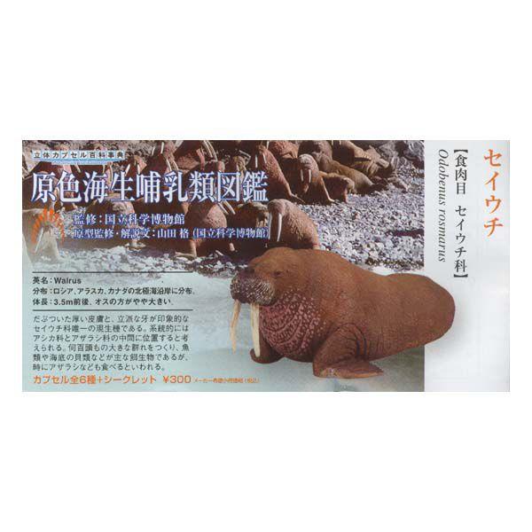 ̃JvZSȎT Ȋw FCMސ} ZCE` ^Jg~[A[c K`| KV| `RGbO tBMA