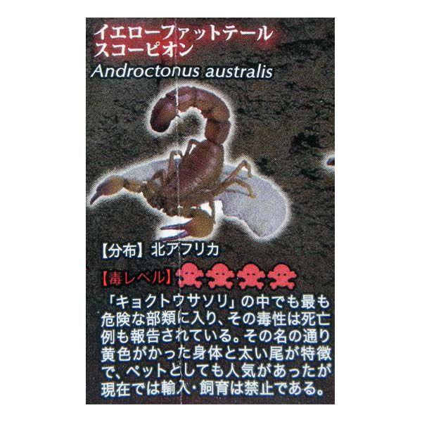 不思議生物大百科 刺毒の侵入者 サソリ イエローファットテールスコーピオン タカラトミーアーツ ガチャポン ガシャポン チョコエッグ デスクトップ フィギュア Buyee 日本代购平台 产品购物网站大全 Buyee一站式代购 Bot Online