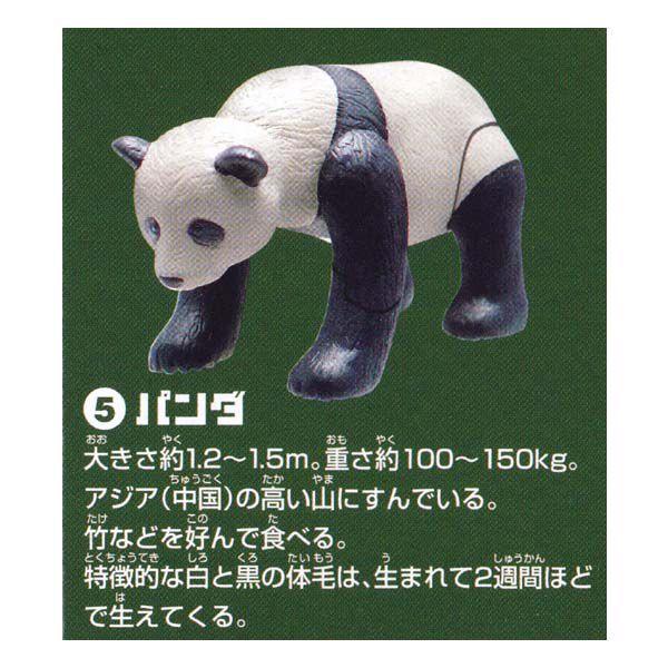 ^Jg~[A[c RȊwV[Y ARTSROID ̐E ANIMAL WORLD p_ H `RGbO fXNgbv tBMA