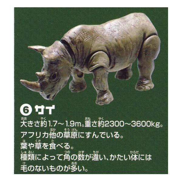 ^Jg~[A[c RȊwV[Y ARTSROID ̐E ANIMAL WORLD TC H `RGbO fXNgbv tBMA