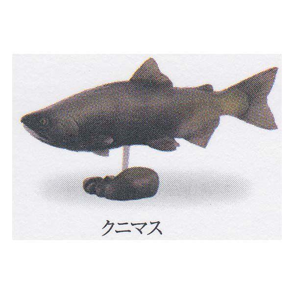 Cm JvZQ ~[WA {̓RNV 1.k/k̃T Nj}X K`| KV| `RGbO tBMA