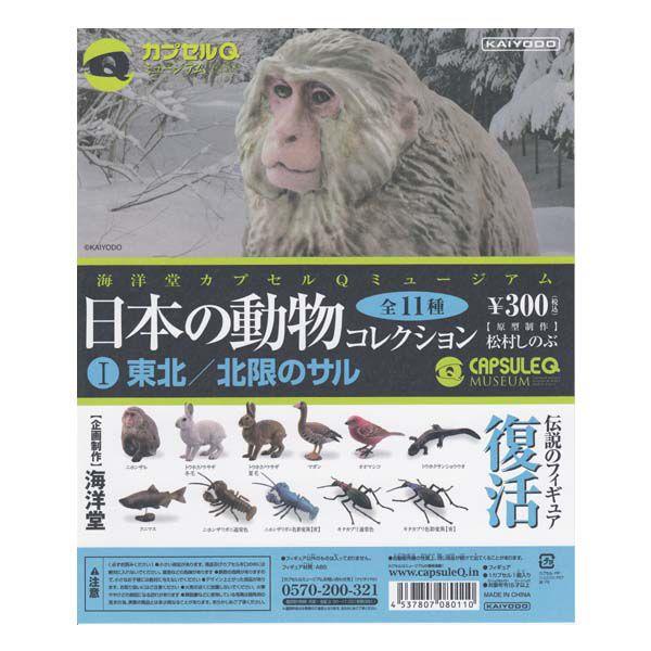 Cm JvZQ ~[WA {̓RNV 1.k/k̃T 11m[}RvZbg K`| KV| `RGbO tBMA