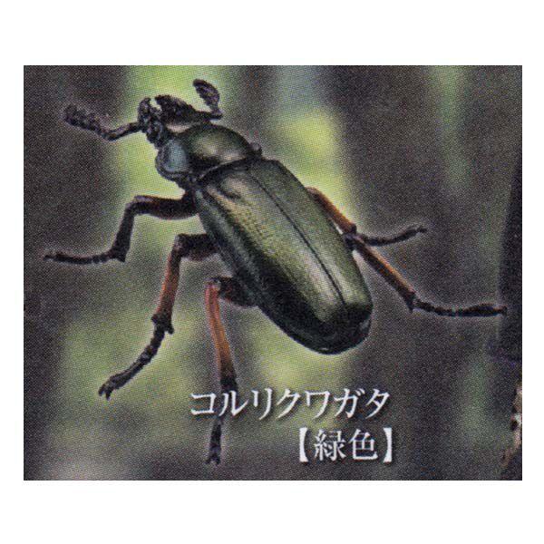 Cm JvZQ ~[WA {NK^VS RNK^iΐFj K`| KV| `RGbO tBMA