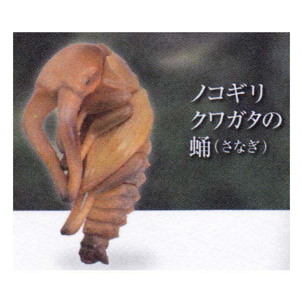 Cm JvZQ ~[WA {NK^VS mRMNK^匁iȂj K`| KV| `RGbO tBMA