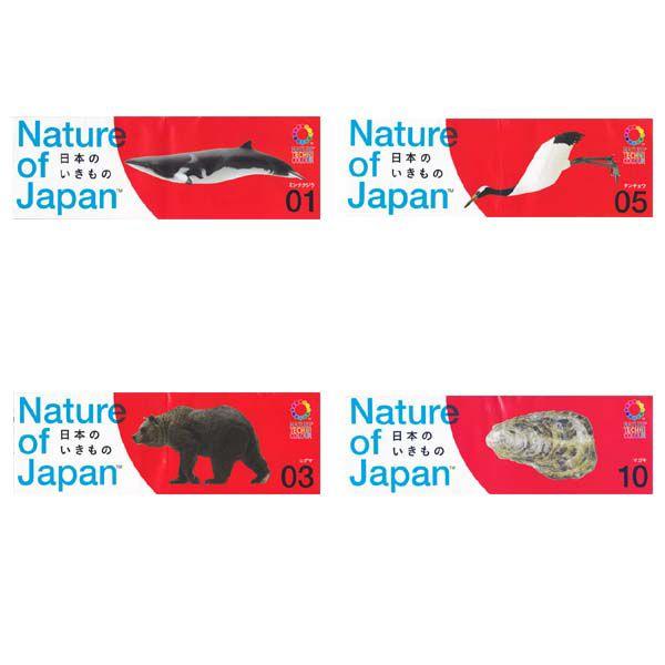 lC`[eNjJ[ Nature of Japan {̂01 4Zbg 权Nu K`| KV| `RGbO fXNgbv tBMA