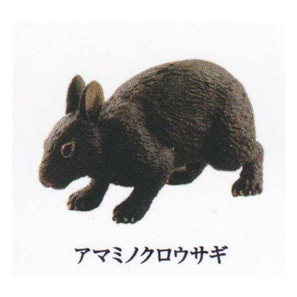 Cm JvZQ ~[WA {̓RNV 2.ꉂ/΂̐X A}~mNETM K`| KV| `RGbO tBMA