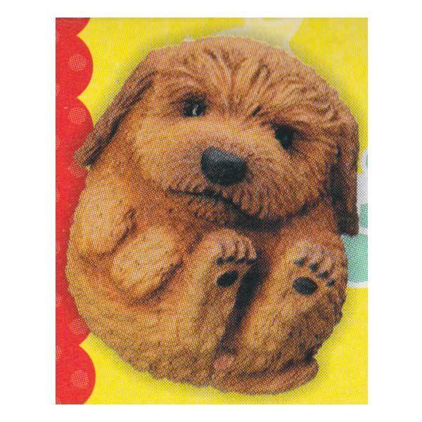 ^Jg~[A[c ܂܂邢 K gCEv[h ܂܂ǂԂ  `RGbO H fXNgbv tBMA