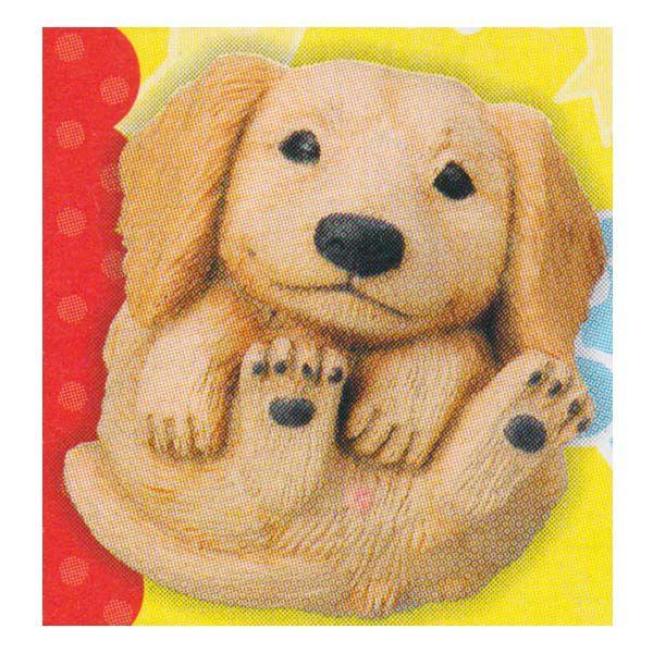 ^Jg~[A[c ܂܂邢 K ~j`AE_bNXth ܂܂ǂԂ  `RGbO H fXNgbv tBMA