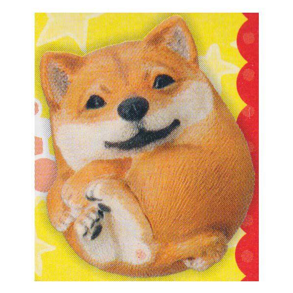 ^Jg~[A[c ܂܂邢 K Č ܂܂ǂԂ  `RGbO H fXNgbv tBMA