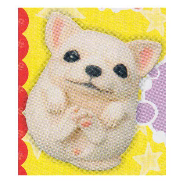 ^Jg~[A[c ܂܂邢 K ` ܂܂ǂԂ  `RGbO H fXNgbv tBMA