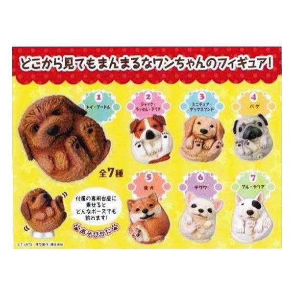 ^Jg~[A[c ܂܂邢 K S7tRvZbg ܂܂ǂԂ  `RGbO H fXNgbv tBMA