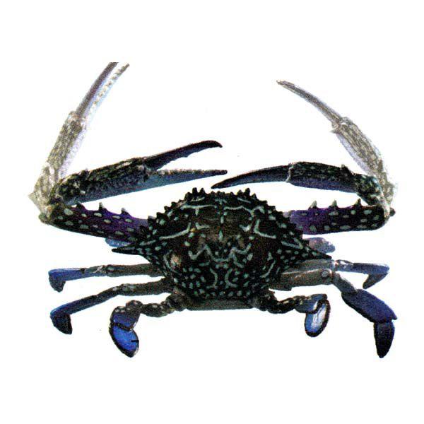 Cm JvZQ ~[WA {JjS ^CKU~ K`| KV| `RGbO tBMA