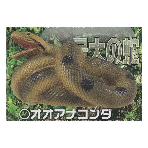 ̃JvZSȎT ő吶 A}] IIAiR_ ^Jg~[A[c K`| KV| `RGbO fXNgbv tBMA