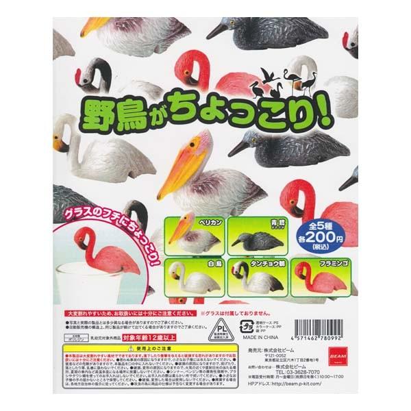 쒹I S5tRvZbg r[ K`| `RGbO fXNgbv tBMA Rbṽt`q