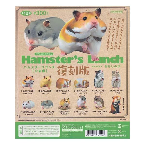 Cm JvZCLASSICA nX^[Y` Ђ܎  Hamster's Lunch S12tRvZbg K`| `RGbO fXNgbv tBMA