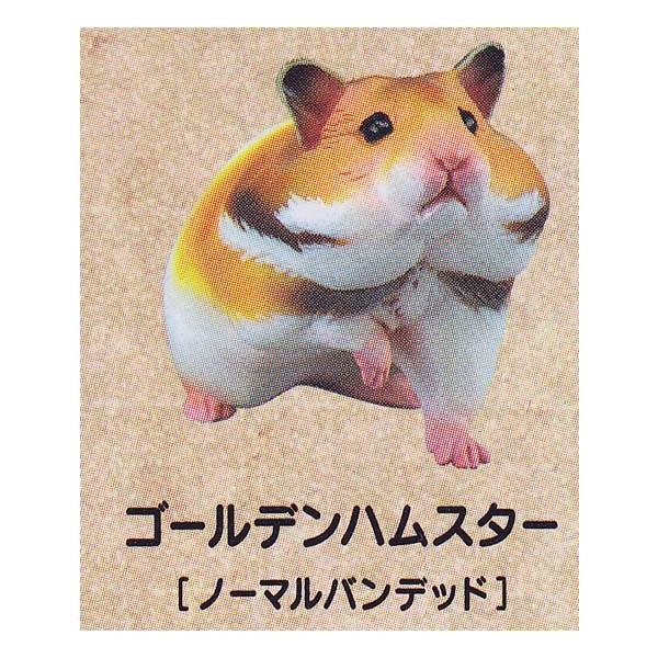Cm JvZCLASSICA nX^[Y` Ђ܎  Hamster's Lunch S[fnX^[ K`| `RGbO fXNgbv tBMA
