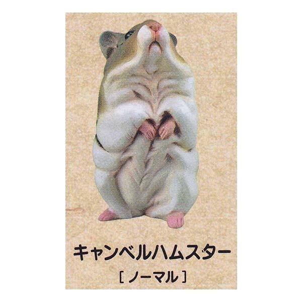 Cm JvZCLASSICA nX^[Y` Ђ܎  Hamster's Lunch LxnX^[ K`| `RGbO fXNgbv tBMA