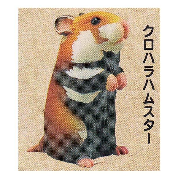 Cm JvZCLASSICA nX^[Y` Ђ܎  Hamster's Lunch NnnX^[ K`| `RGbO fXNgbv tBMA