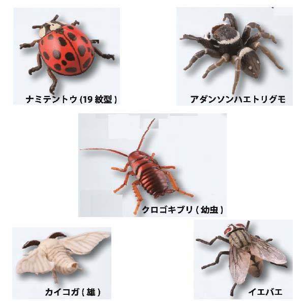 海洋堂 カプセルqミュージアム 実践 ひっつき虫図鑑 部屋の壁の昆虫王国 5種セット ガチャポン チョコエッグ デスクトップ フィギュア Buyee Buyee Japanese Proxy Service Buy From Japan Bot Online