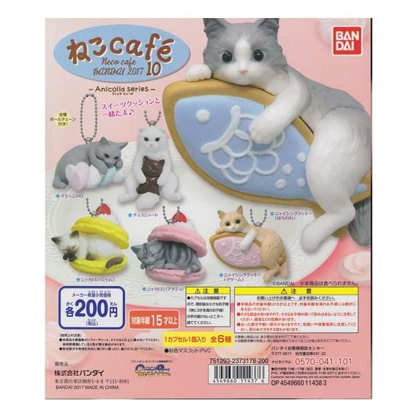 ˂ cafe10 -Anicolla Series- AjR V[Y S6tRvZbg o_C K`| X}z g Xgbv tBMA L lR