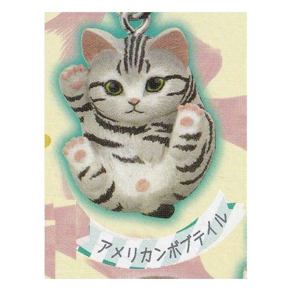 ܂܂ǂԂ ܂܂˂t AJ{ueC ^Jg~[A[c K`| Xgbv tBMA L lR