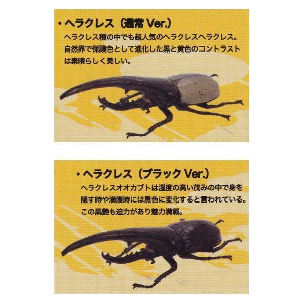 1/1 wNXIIJug ʏ Ver.ubN Ver. 2Zbg SO-TA \[^ K`| fXNgbv tBMA  HirokA ͖씎jďC