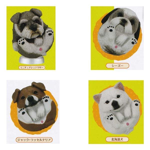 まんまるどうぶつ まんまるいぬ 人気者編 4種セット タカラトミーアーツ ガチャポン フィギュア 犬 イヌ S0 だいだらぼっちヤフー店 通販 Yahoo ショッピング