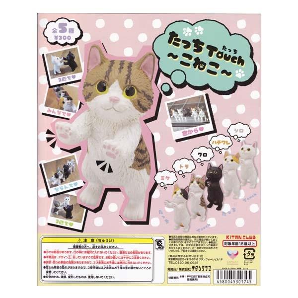  Touch `˂` S5tRvZbg L^Nu KITAN CLUB K`| fXNgbv tBMA lR L