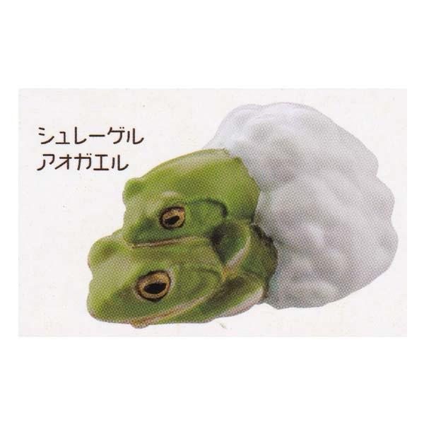 Cm JvZQ ~[WA z^Q ӂ Good Luck Charm -Osaifugaeru- 2 V[QAIKG K`| fXNgbv tBMA