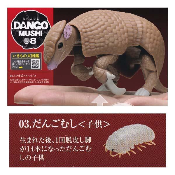 いきもの大図鑑 だんごむし08 だんごむしとミツオビアルマジロ Dango Mushi 08 2種セット バンダイ ガチャポン フィギュア S だいだらぼっちヤフー店 通販 Yahoo ショッピング