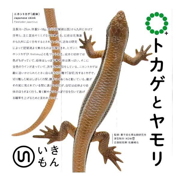 ネイチャーテクニカラー Mono Plus トカゲとヤモリ マグネット ボールチェーン ニホントカゲ 成体 マグネット いきもん ガチャポン フィギュア S だいだらぼっちヤフー店 通販 Yahoo ショッピング
