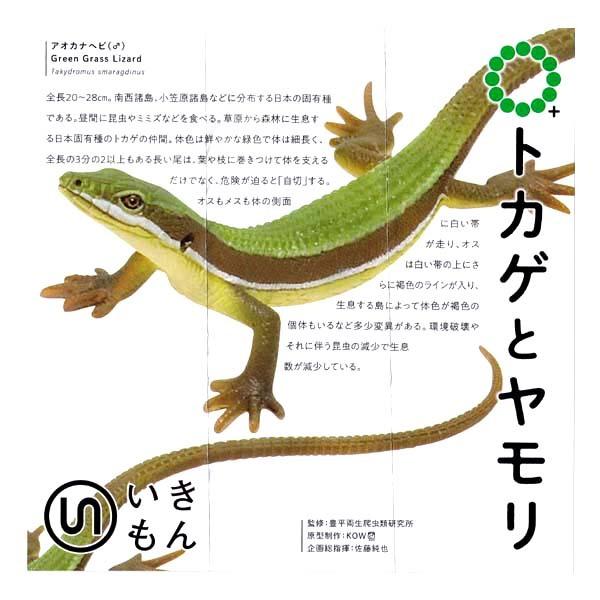 lC`[eNjJ[ MONO PLUS gJQƃ }Olbg{[`F[ AIJiwriIXji{[`F[j  K`| tBMA