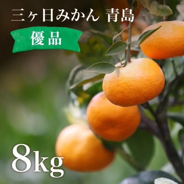 三ヶ日みかん 青島 8kg 優品相当 ミックスサイズ 農家直送 みかん