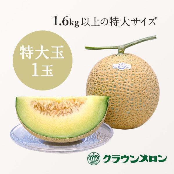 NE 1 wʁx  Mtg 蕨 }XN  