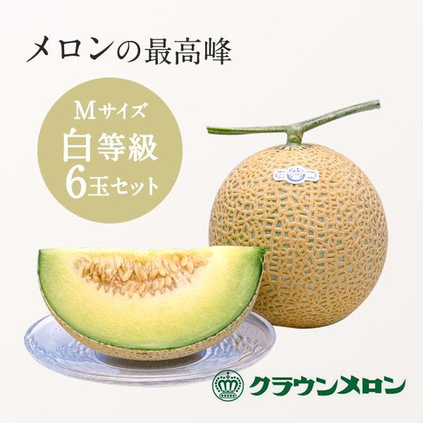 NE 6 wx  MTCY Mtg 蕨 }XN  