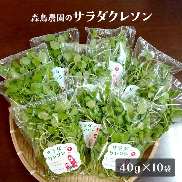 品名：サラダクレソン内容量：40g×10袋産地 国産 （静岡県産）保存方法：冷蔵保管賞味期限：冷蔵4〜6日配送方法：ヤマトクール便（冷蔵）送料：送料は商品代金に含まれます。※一部例外地域として、北海道500円、沖縄1000円・その他離島地域...