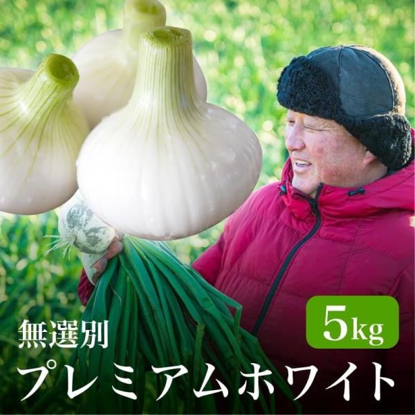 お届けについて産地直送でお届けします。収穫次第出荷となりますので、お届け希望日や曜日のご指定ができません。ご選択の「発送時期」の期間内で順次出荷いたします。詳しい納期に関するお問い合わせはお答えできません。発送時期は、天候や生育状況等により...