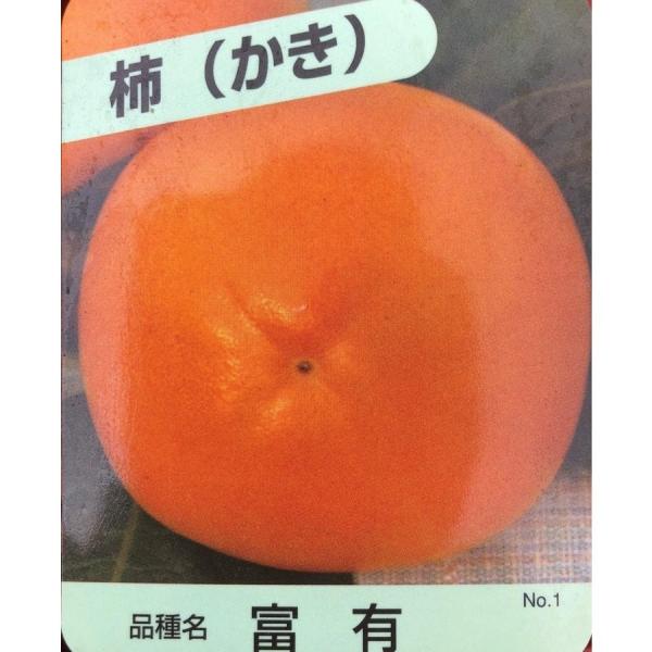 xL`̖؁@Q@劔@Aؕc؁@W{Ê`@Ȃ܂@