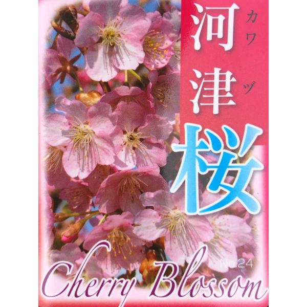 植木 盆栽 河津桜の人気商品 通販 価格比較 価格 Com