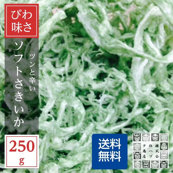わさびするめいか 250g 送料無料 わさびソフトさき おつまみ 珍味 家呑み 宅呑み ビールのお供に ジッパー袋入り ポイント利用 お試しサンプル