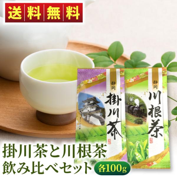 掛川茶と川根茶 飲み比べセット 各100g 緑茶 お茶 静岡茶 煎茶 深蒸し