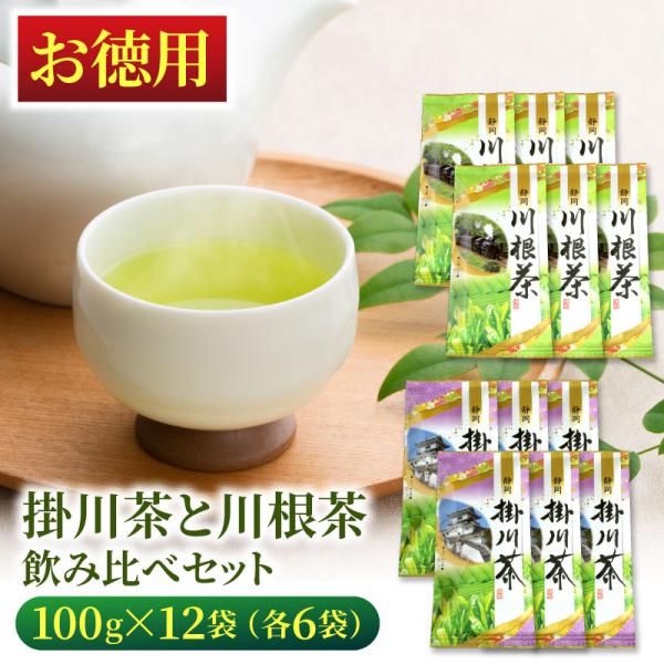 お徳用 掛川茶と川根茶 12袋 (各100g×6袋) 飲み比べセット 緑茶 お茶