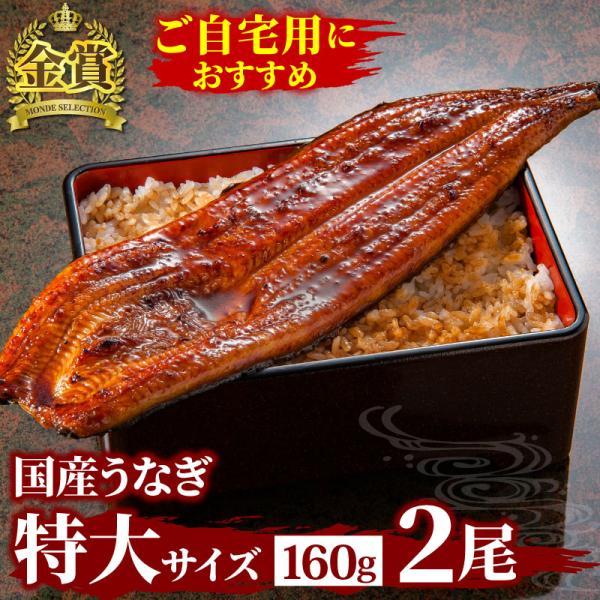 国産うなぎ長蒲焼 特大サイズ2尾セット【大五蒲焼】食べ応え十分！特大サイズのうなぎ蒲焼き。外は香ばしく、中はふっくら、柔らか蒲焼は「特殊製法」により旨味を残しつつ、通常の蒲焼工程よりも長い加熱時間を実現しました。箸で「すーっ」と簡単に切れ、...