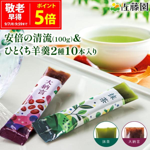 敬老の日 羊かん 安倍の清流100g＆ひとくち羊羹 2種10本入 ギフトセット 佐藤園 羊かん お茶 緑茶 煎茶 和菓子 お菓子 ギフト プレゼント 個包装
