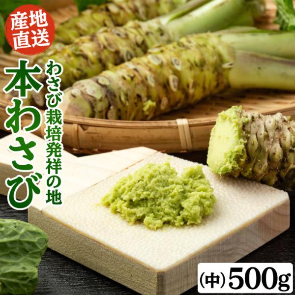 わさび栽培発祥の地「有東木」の栽培農家から直送。標高600m、夏でも冷たい水が流れ、本わさびの生育に厳しい環境で栽培された本わさびです。ギュッと身が詰まっていて、濃厚な香りと上品な辛味をお楽しみいただけます。独自のこだわり品種改良を重ねるこ...