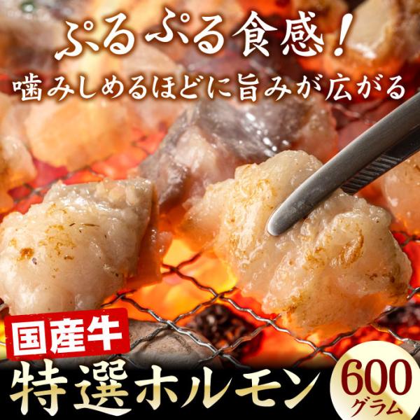 厳選国産牛 特選ホルモン（牛もつ） 600g（200g×3袋） モツ 小腸 冷凍 国産牛 お肉 牛肉 お取り寄せ もつ鍋 モツ鍋 小分け