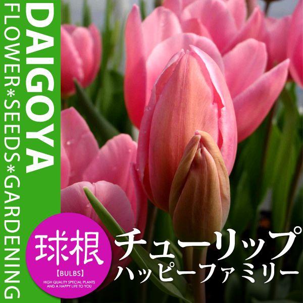 `[bv }炫 nbs[t@~[i/sjyz4_`[bv_HA_