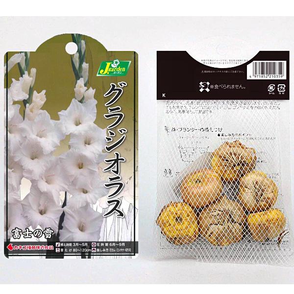 グラジオラス 富士の雪 球根 6球入り袋詰め 春植え 球根 Buyee Buyee 日本の通販商品 オークションの代理入札 代理購入